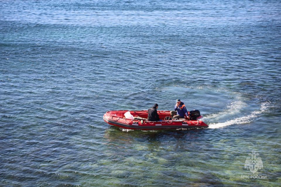 ��������� ����� ��� ������ 50 ����������� ���������� � ������� ����������� ���������� ��� ������