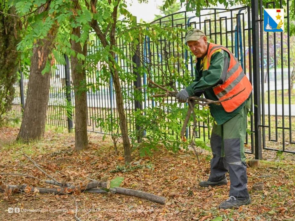 ��������� � ������ �����. ����������� ������� � ������� ������� ������ � ����� ������ ������������ ������ � ������� ��������: �����������, ������������ � �������� �����, �������� ��������� ��������