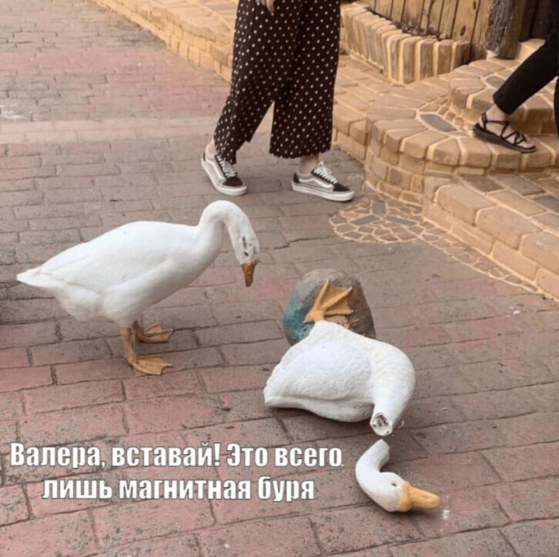 �����, ��� ��������������: �� ����� ������� �������� ������� ��������� ����