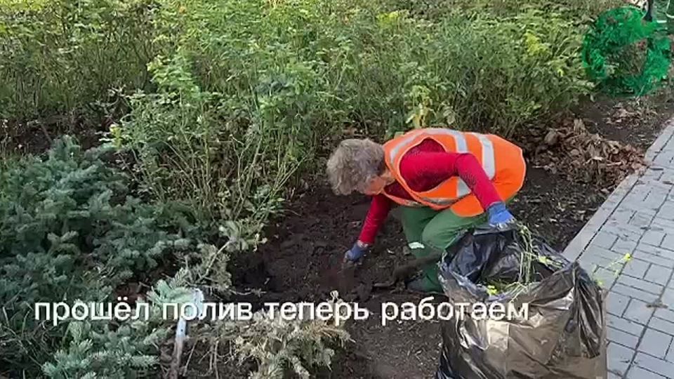 Время заботы о зелёных уголках города: специалисты провели сезонные работы