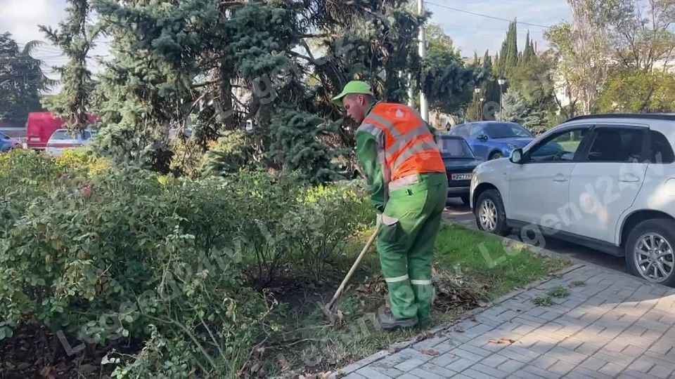 ГБУ «Парки и скверы» готовит к зимнему сезону зелёные насаждения