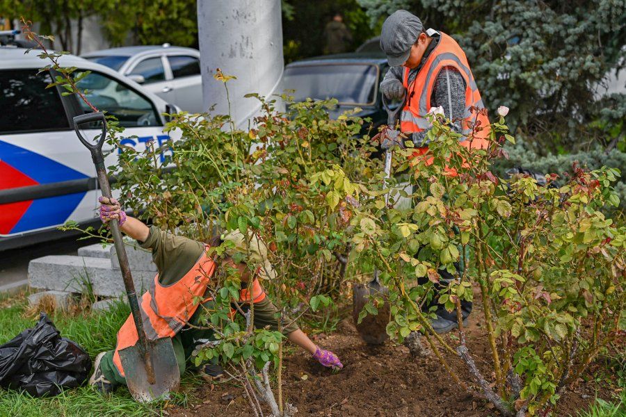 Специалисты «Парков и скверов» ухаживают за клумбами у доски почёта Нахимовского района