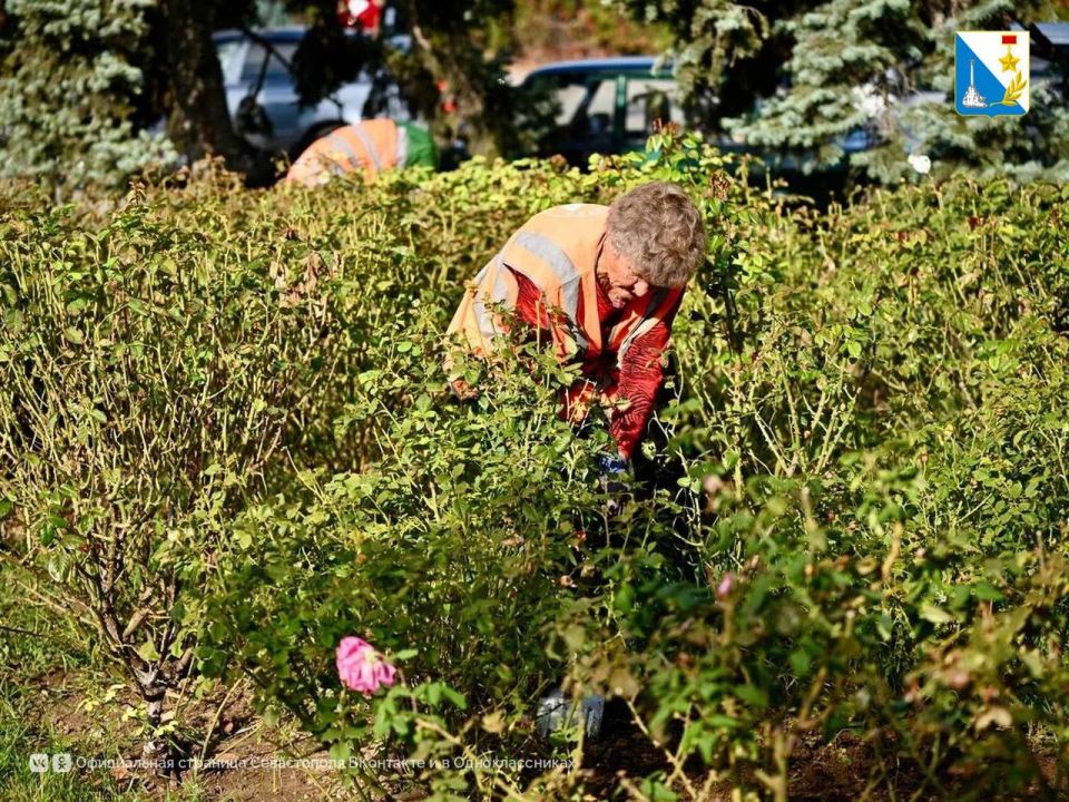 ��������� � ������ �����. ����������� ������� � ������� ������� ������ � ����� ������ ������������ ������ � ������� ��������: �����������, ������������ � �������� �����, �������� ��������� ��������