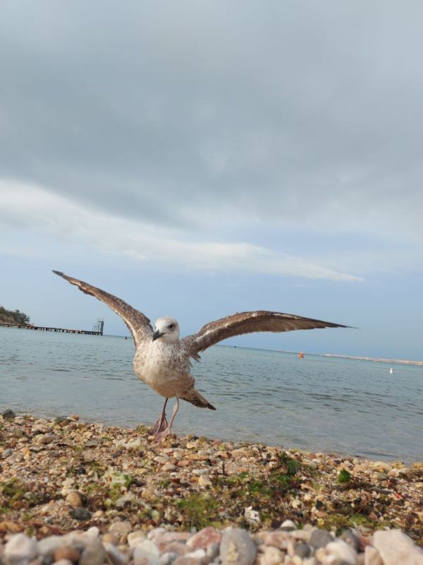 ������� ����, ������!. � ����������� ���� ��������� �����