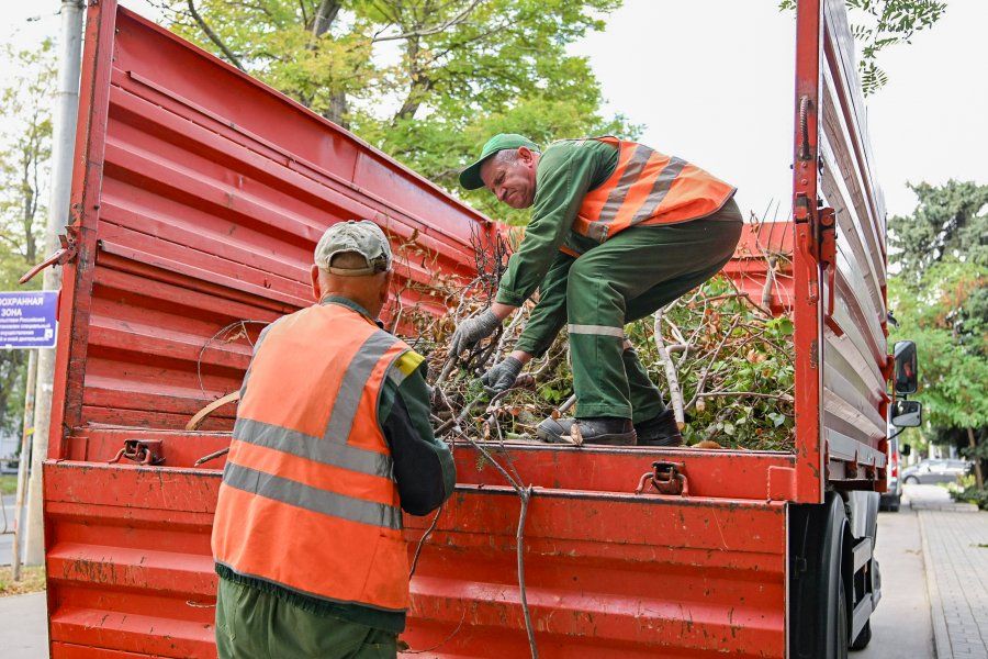 ����������� ������� � ������� ��������� �� �������� � ����� ������ ������������ ������