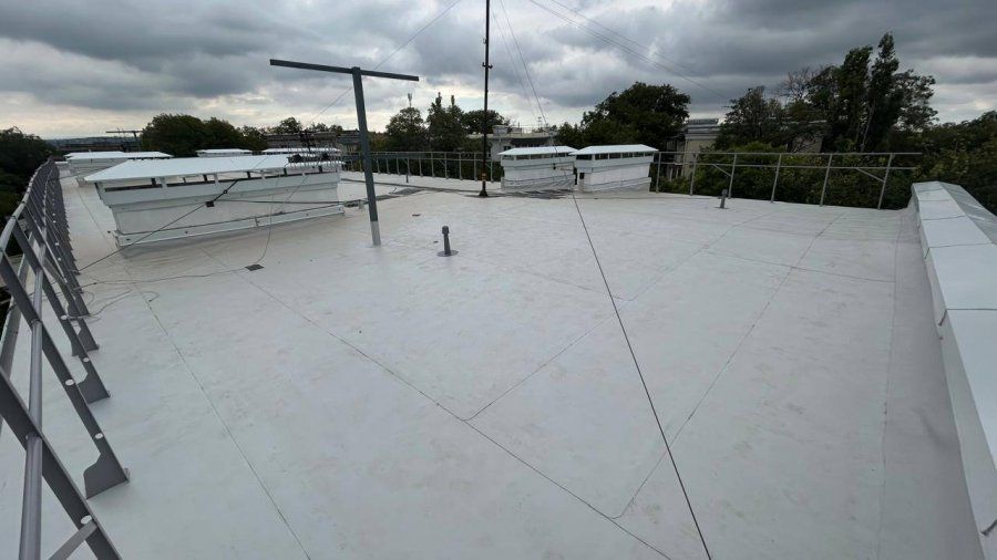 � ���� �15 �� ����� ������� ������� ��������� ����������� ������ ������