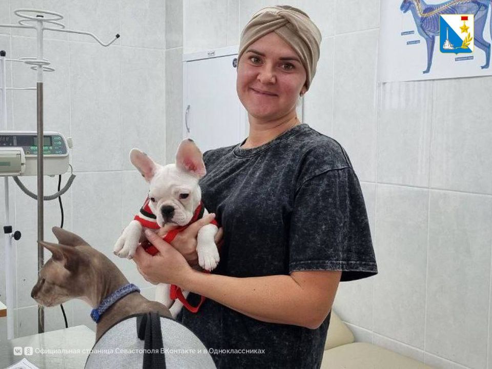 Заботимся о здоровье питомцев Заботимся о здоровье питомцев