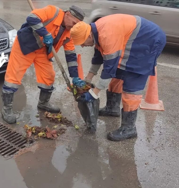 ���������: ������ �������� ����������� �������� ������� � ������� ���� �� ��.�������, ��������, �.���������,���