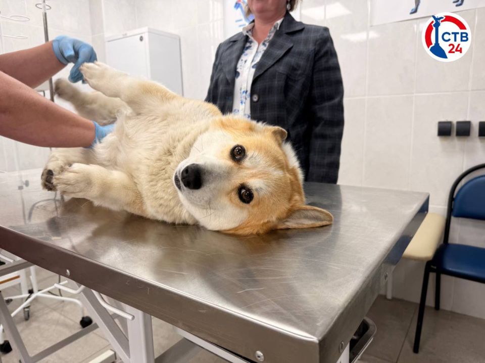 � ������������� ����������� ������ � ����� ����� ������ ���������������