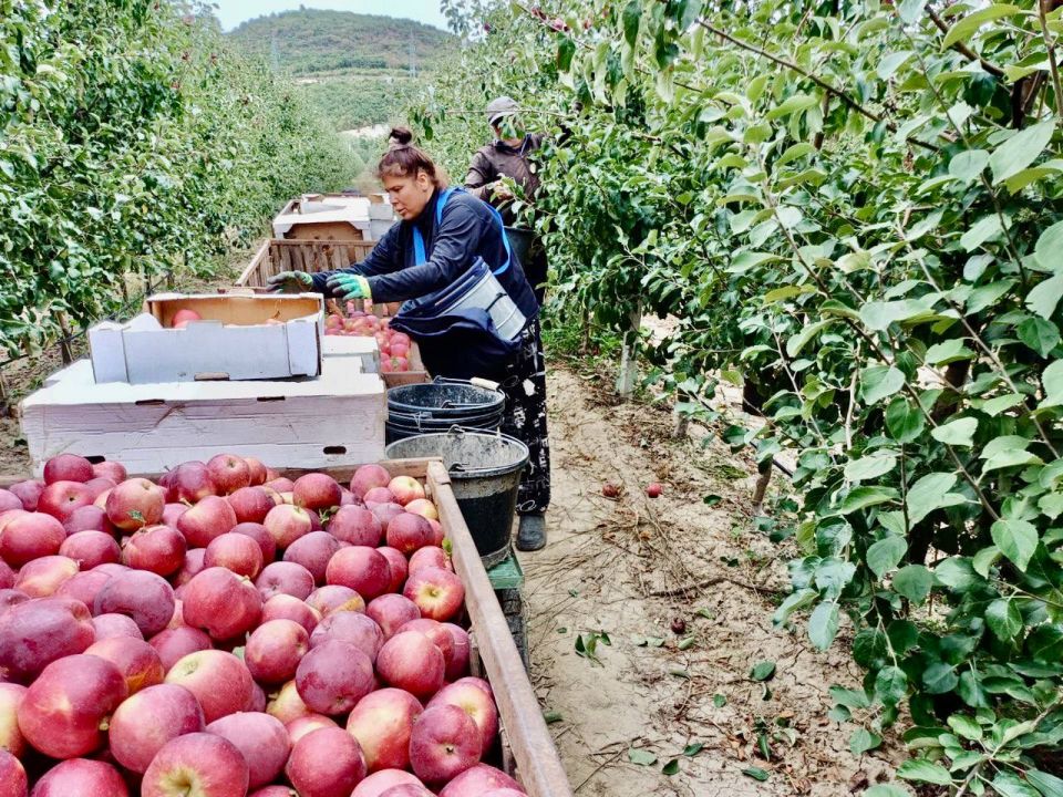 � ����������� ������� 166 ���� �����