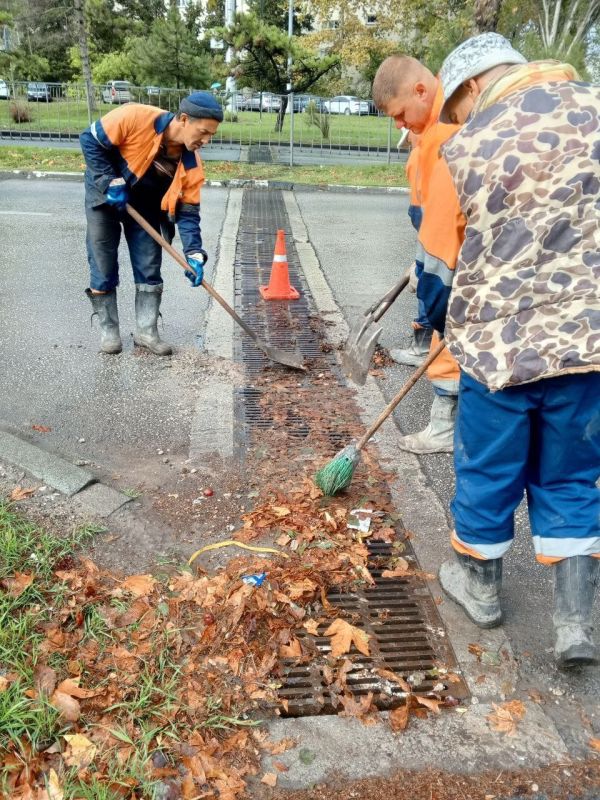 ���������: ������ � ������ ��������, ������ ������� ������, ������� �������� ������� �� �������