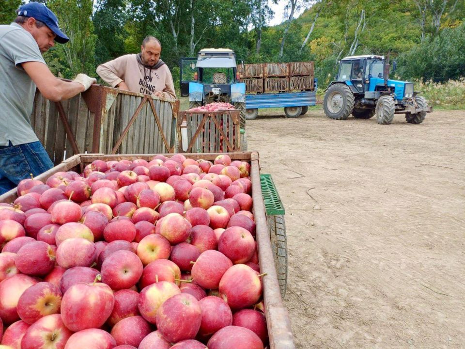 � ����������� ������� 166 ���� �����