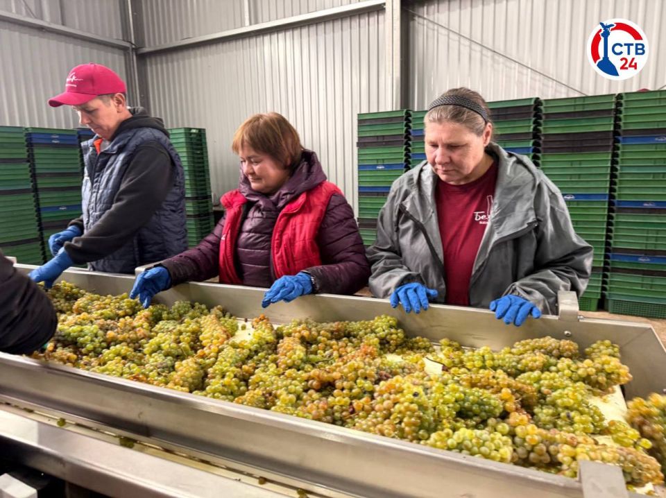 � ������������ ����������� ��������� ������������ ��������� ���� �� ������� �������� ��������� � ������ ����������� ���. � ��� ����� ���������� ����� 300 ����� ������� ���� �� ������������� ��������� � ��� ��� �����������...