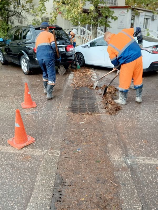 ���������: ������ � ������ ��������, ������ ������� ������, ������� �������� ������� �� �������