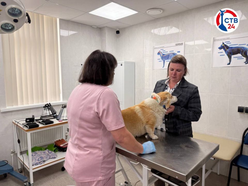 � ������������� ����������� ������ � ����� ����� ������ ���������������