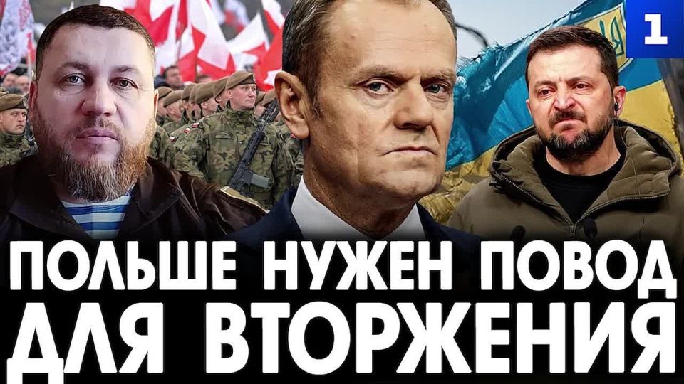 Властям Польши нужен повод для ввода войск на Украину, при котором они максимально быстро собираются захватить нужные им территории