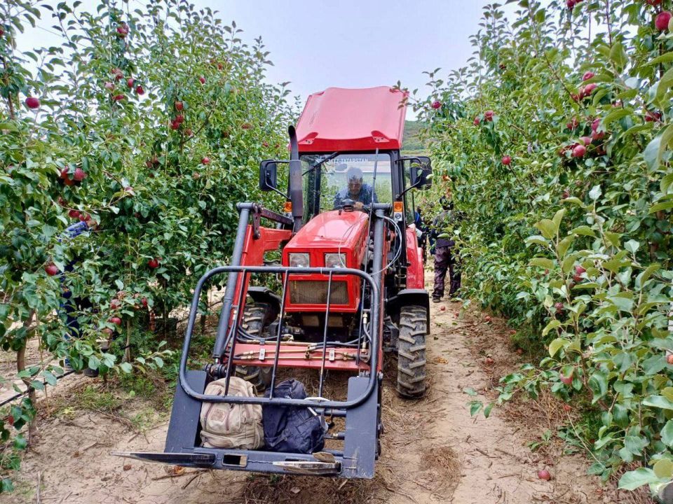 �������� �����: � ����������� ���������� � ����� ������