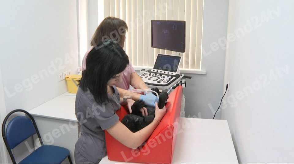 20 �������� ������ ��������������� � ������������� �����������