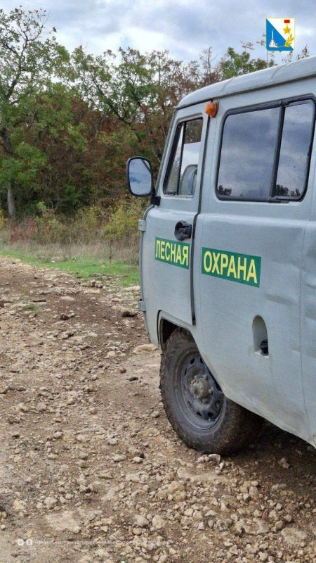 �������� ���. ���������� �������������� ����������� �������� ���������� ����� ��� ������ ����� � �������������� ���������