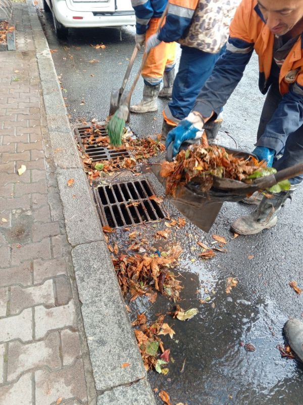 ���������: ������ � ������ ��������, ������ ������� ������, ������� �������� ������� �� �������