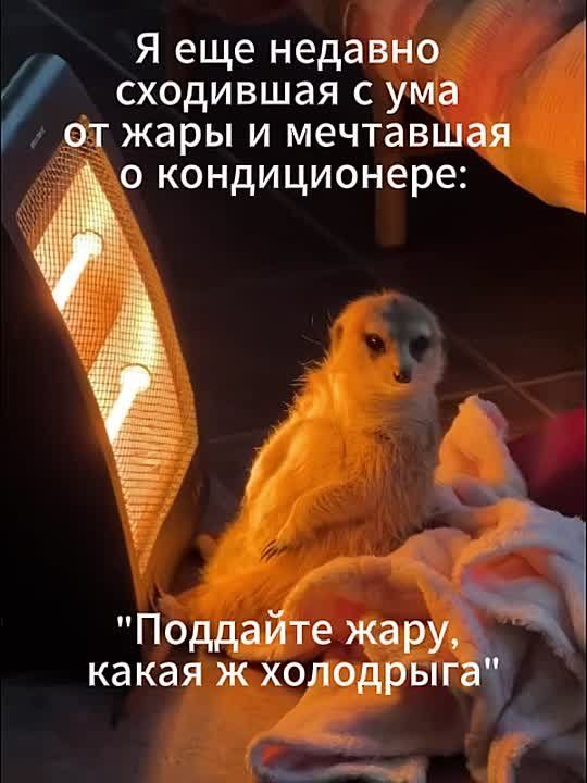 Севастополь готовится к предстоящему отопительному сезону