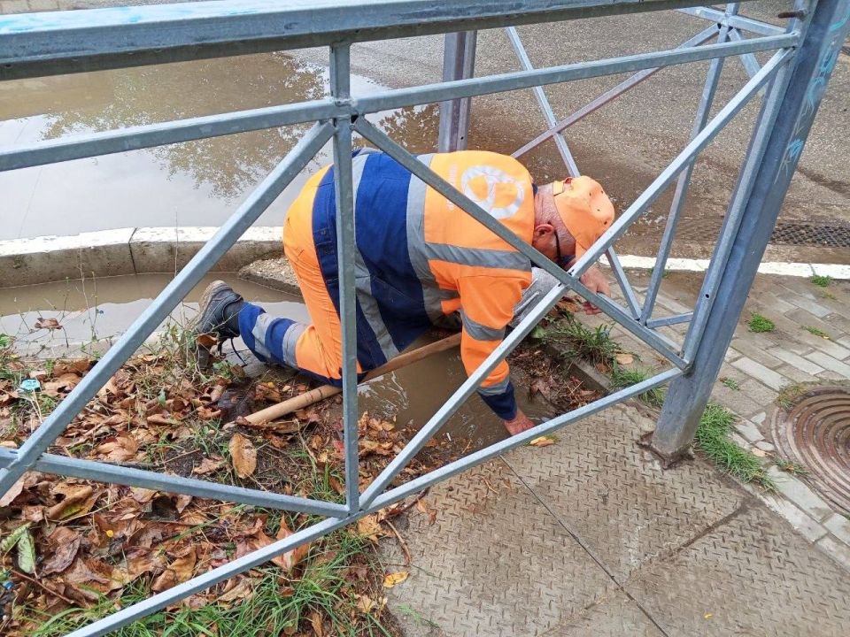 ������� ����������� ��������� ����������� �������� �������