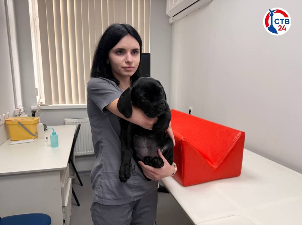 � ������������� ����������� ������ � ����� ����� ������ ���������������