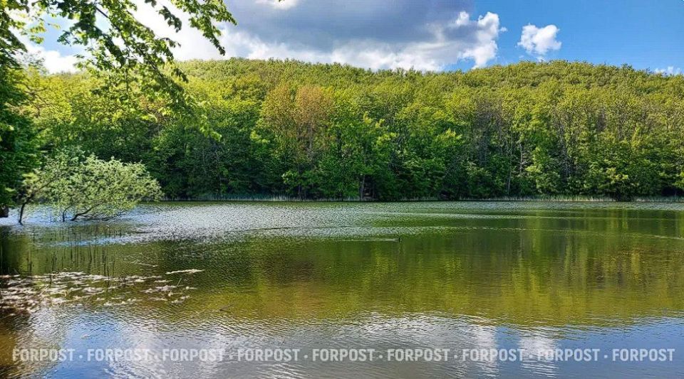 ��� ��������������� ����� ���� �� ���� � ������� ����