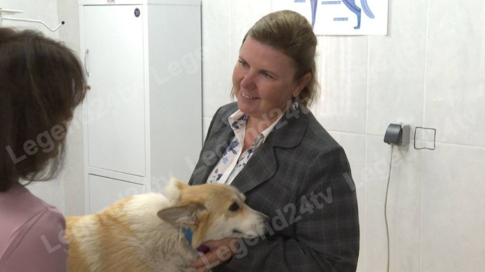 20 �������� ������ ��������������� � ������������� �����������