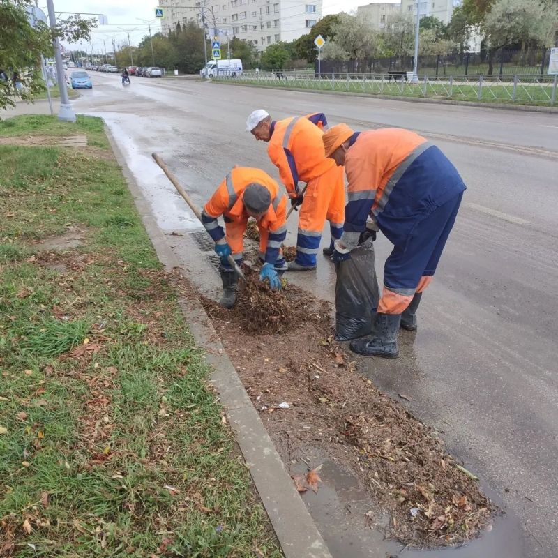 ���������: ������ �������� ����������� �������� ������� � ������� ���� �� ��.�������, ��������, �.���������,���