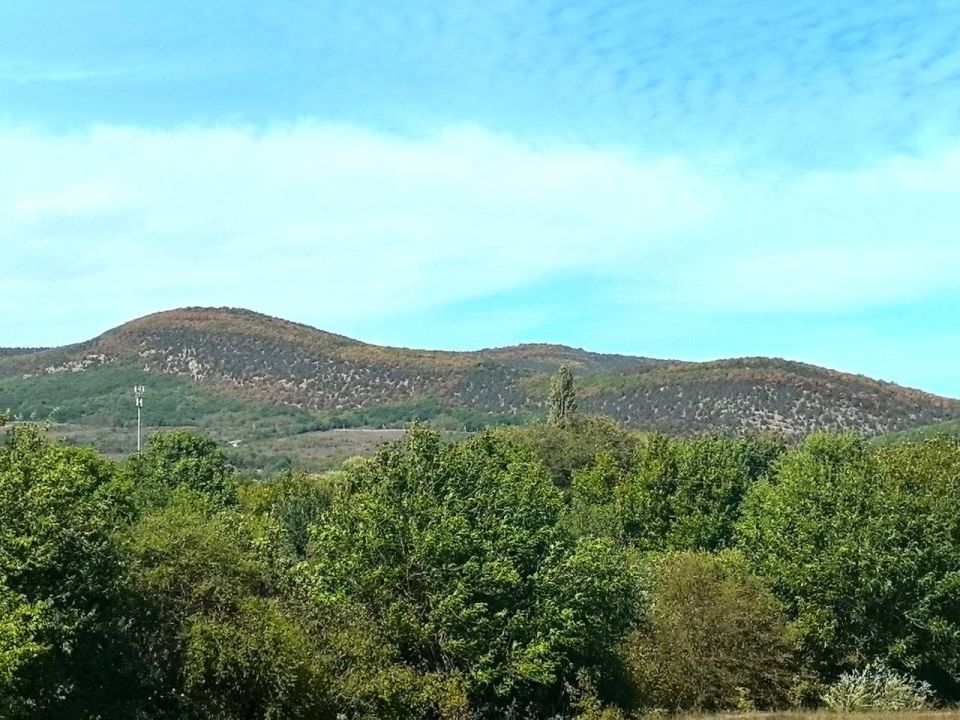 �� ����� � ���: �� 2 ������� ��������������� ���� � �������� ������� ��������������� ����� ����� ������� ��� ���������