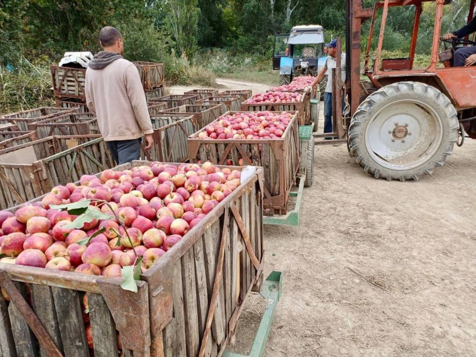 ������ ����, ������!. � ������� � ����������� ���������� ����������