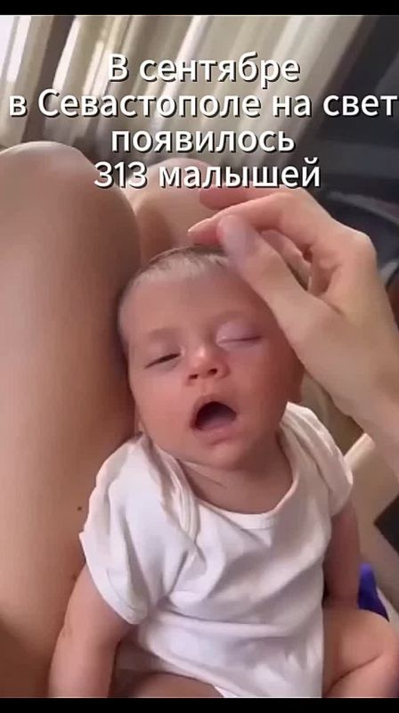 В сентябре в Севастополе на свет появилось 313 малышат