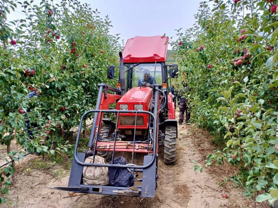 ������ ����, ������!. � ������� � ����������� ���������� ����������