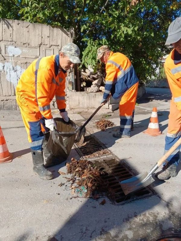 ���������: ������� ������ �������� ����������� �������