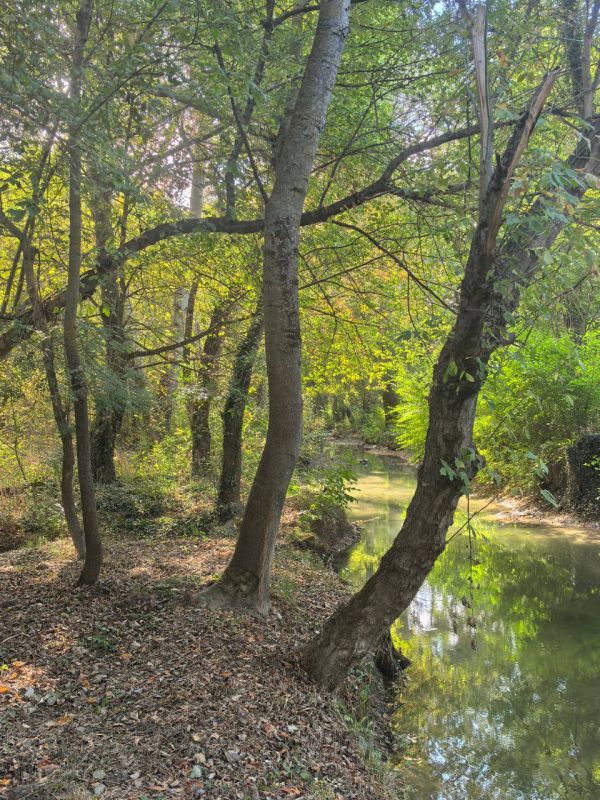 �� ����� � ���: �� 2 ������� ��������������� ���� � �������� ������� ��������������� ����� ����� ������� ��� ���������