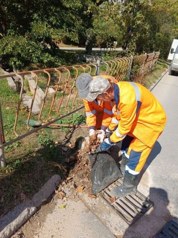 ���������: ������� ������ �������� ����������� �������