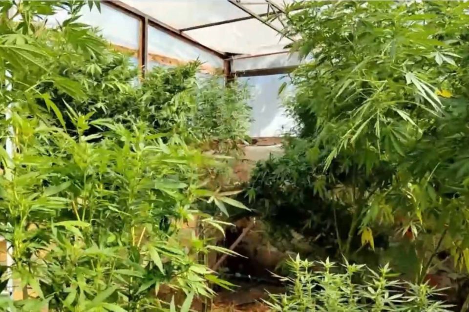 ��������������� ������� ����� ��� ��� �� ���������� ���������