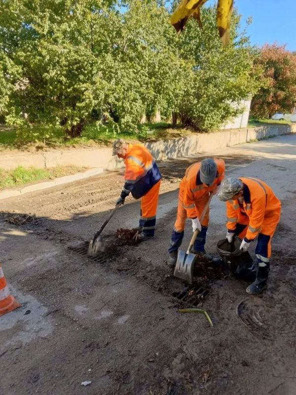 ���������: ������� ������ �������� ����������� �������