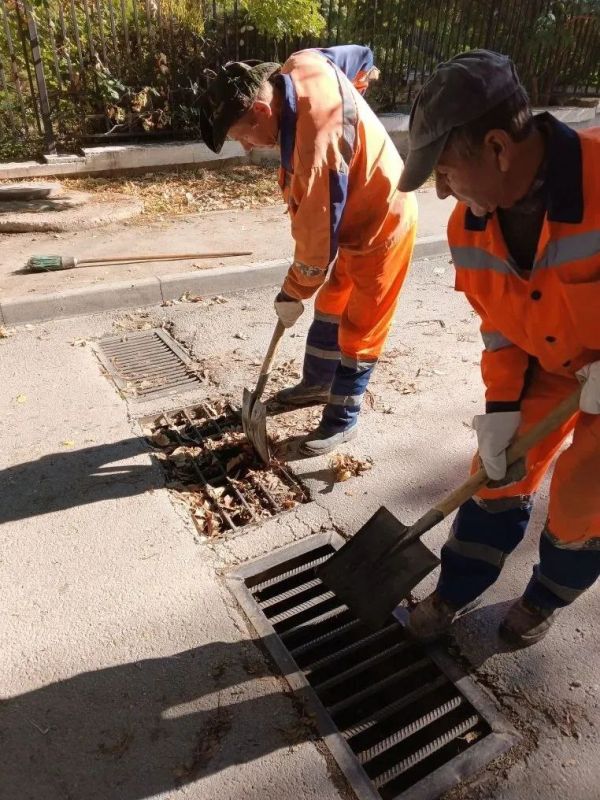 ���������: ������� ������ �������� ����������� �������