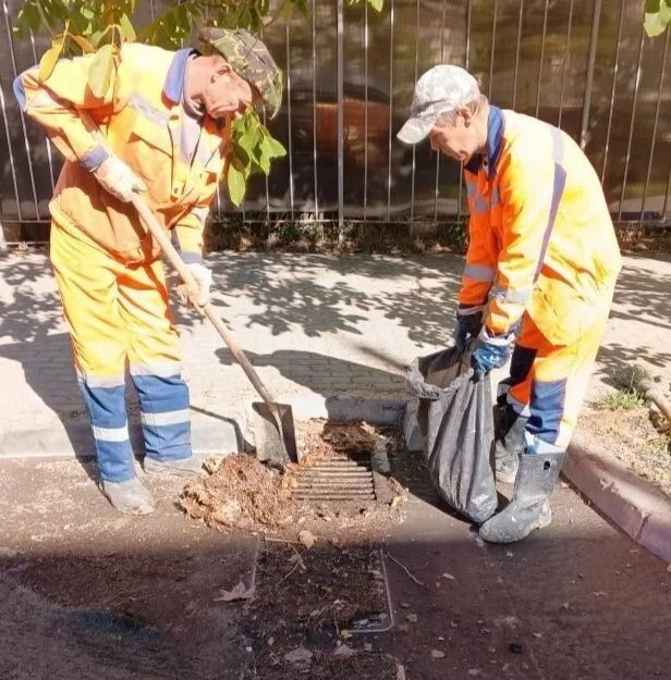 ���������: ������� ������ �������� ����������� �������