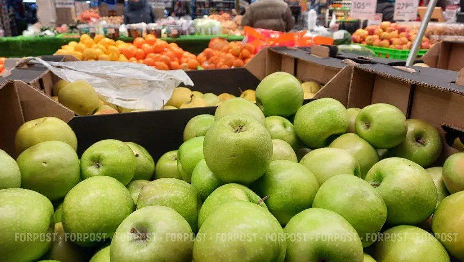 Яблочный стартап в Севастополе развалился, как перезрелый «голден»