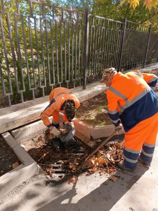 ���������: ������� ������ �������� ����������� �������