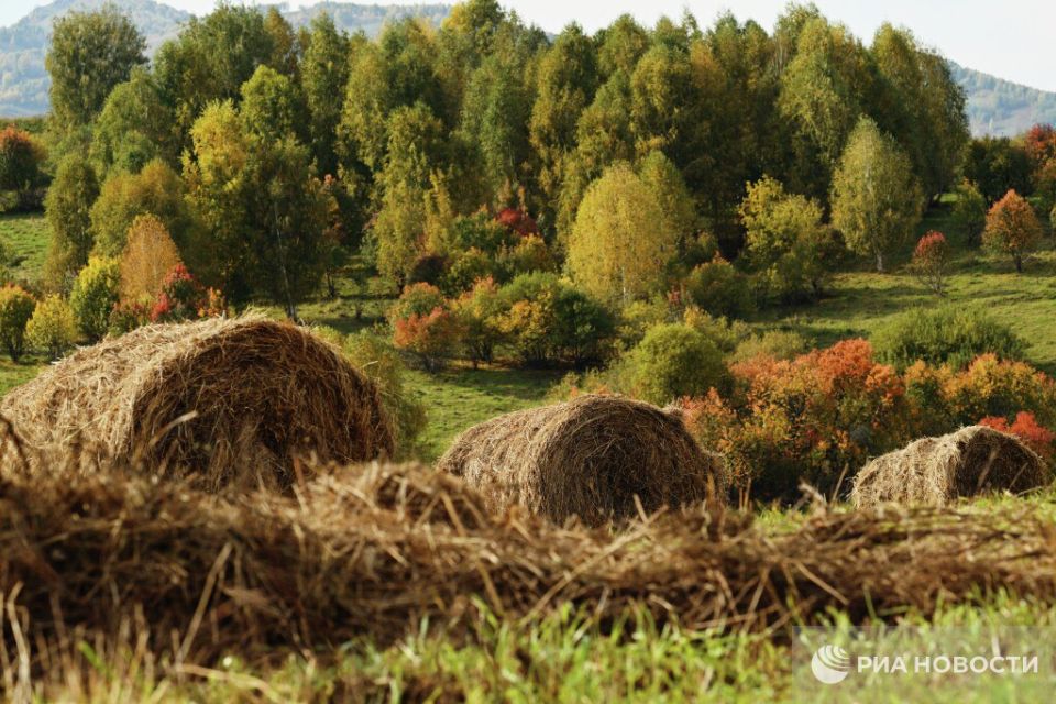 Прогноз погоды в Крыму на четверг