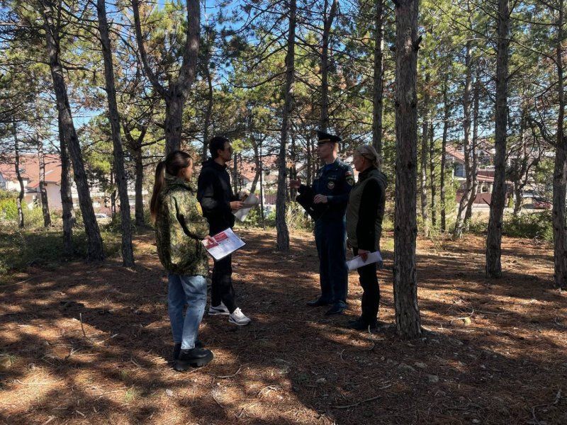 Севастопольские леса открыли для посещения