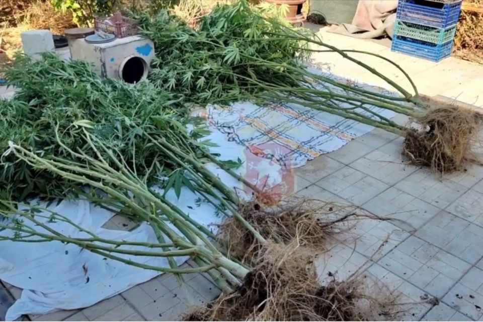 ��������������� ������� ����� ��� ��� �� ���������� ���������