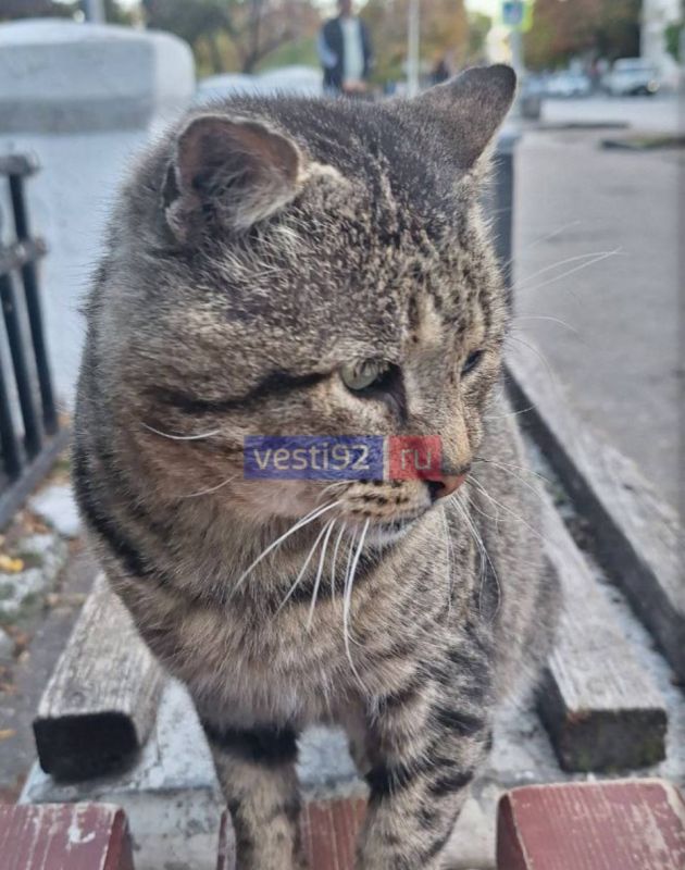 ������ ����, �����������!. ������� ��������� ���������� ����������