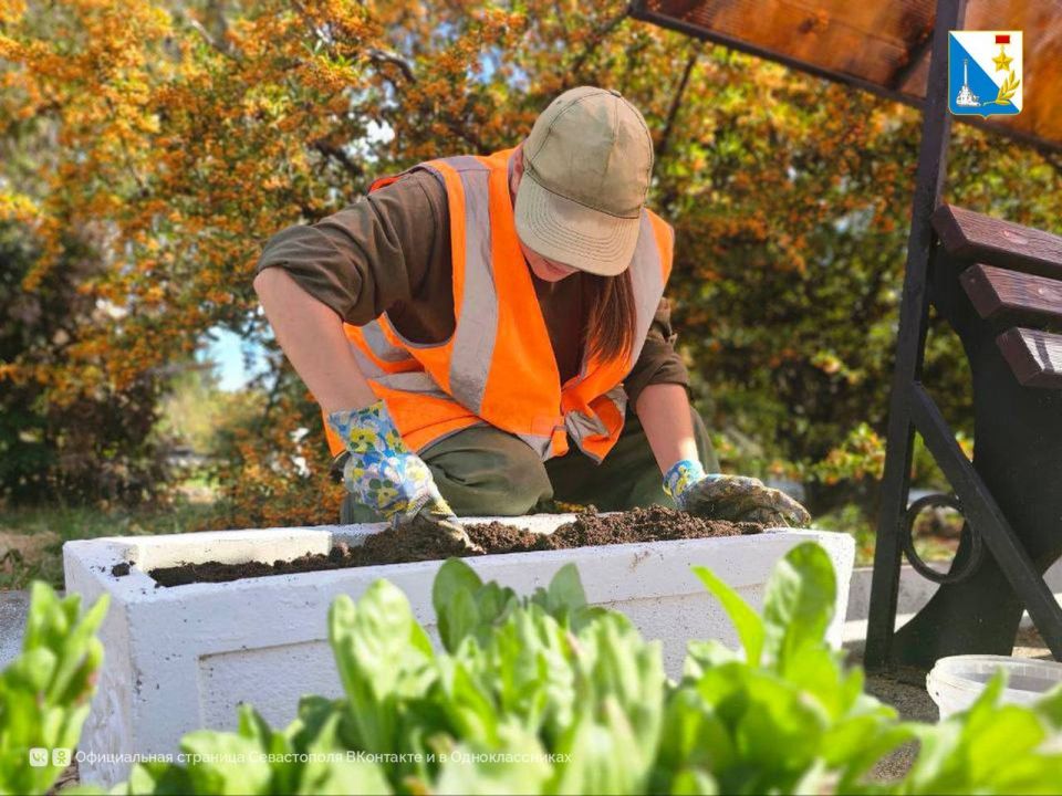 Обновляем скверы. Специалисты «Парков и скверов» приступили к осенним работам на Северной стороне, — начали со сквера памятника Славы воинов 2-й гвардейской армии Обновляем скверы. Специалисты «Парков и скверов» приступили к осенним работам на Северной стороне, — начали со сквера памятника Славы воинов 2-й гвардейской армии