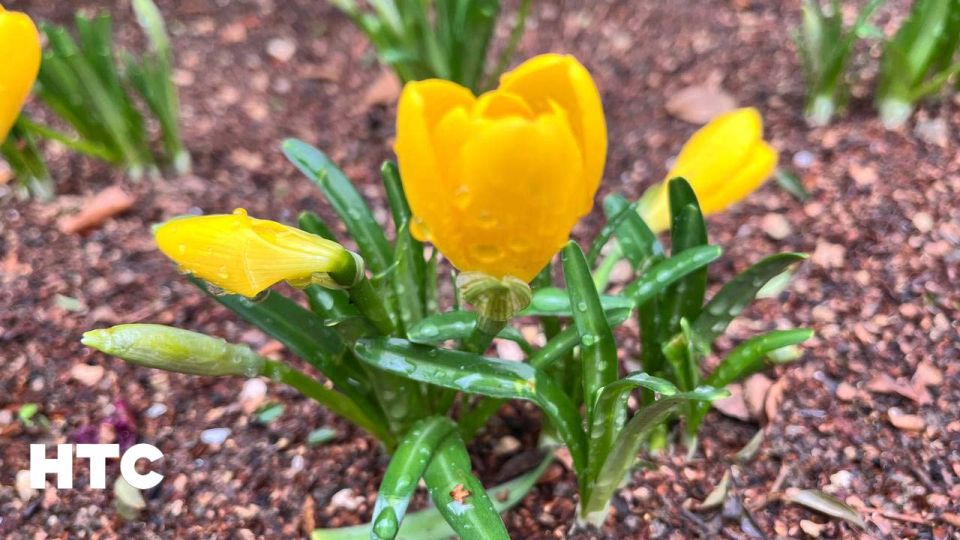 #���_�����. ������� ����� � ��������� �������� ������ �������� ���� �����������? ���������� ���� � ������������ ��� � ���