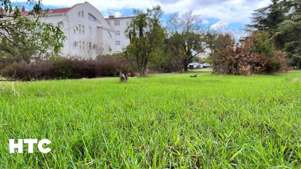 #���_�����. ������� ����� � ��������� �������� ������ �������� ���� �����������? ���������� ���� � ������������ ��� � ���